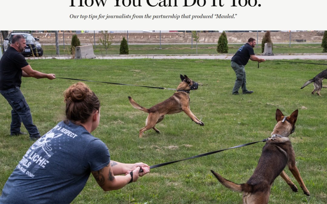 The Marshall Project: We Investigated How Police Use Dogs as Weapons. Here’s How You Can Do It Too.